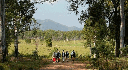 Gladstone District Bushwalkers logo walkers in australian bush